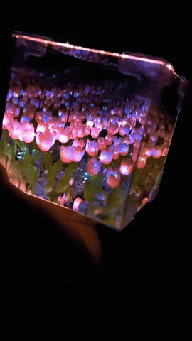 LAMPARA ESPEJO DE TULIPANES INFINITOS
